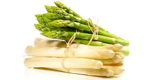 Jornadas del Espárrago de Tudela 2026